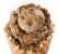 Chocolate Peanut Butter Buckeye