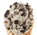 Coconut Chip
