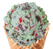 Spumoni